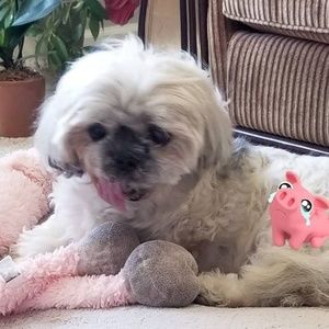 Meet your Posher, Denise